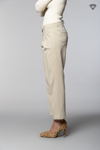New York Carrot Pince pantalone chino donna in cotone cashmere carrot fit ①